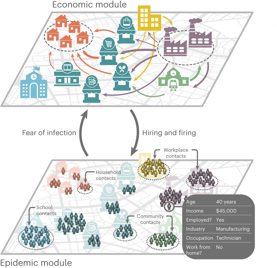 The unequal effects of the health–economy trade-off during the COVID-19 pandemic